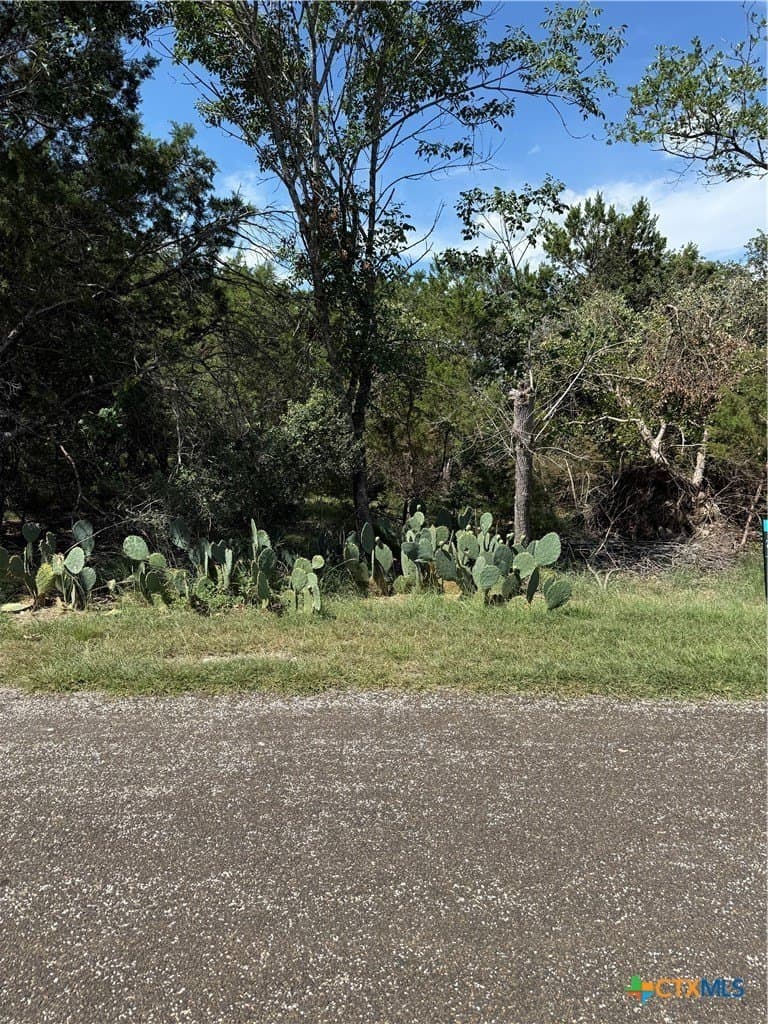 5.12 acres in Bell County gallery image 3