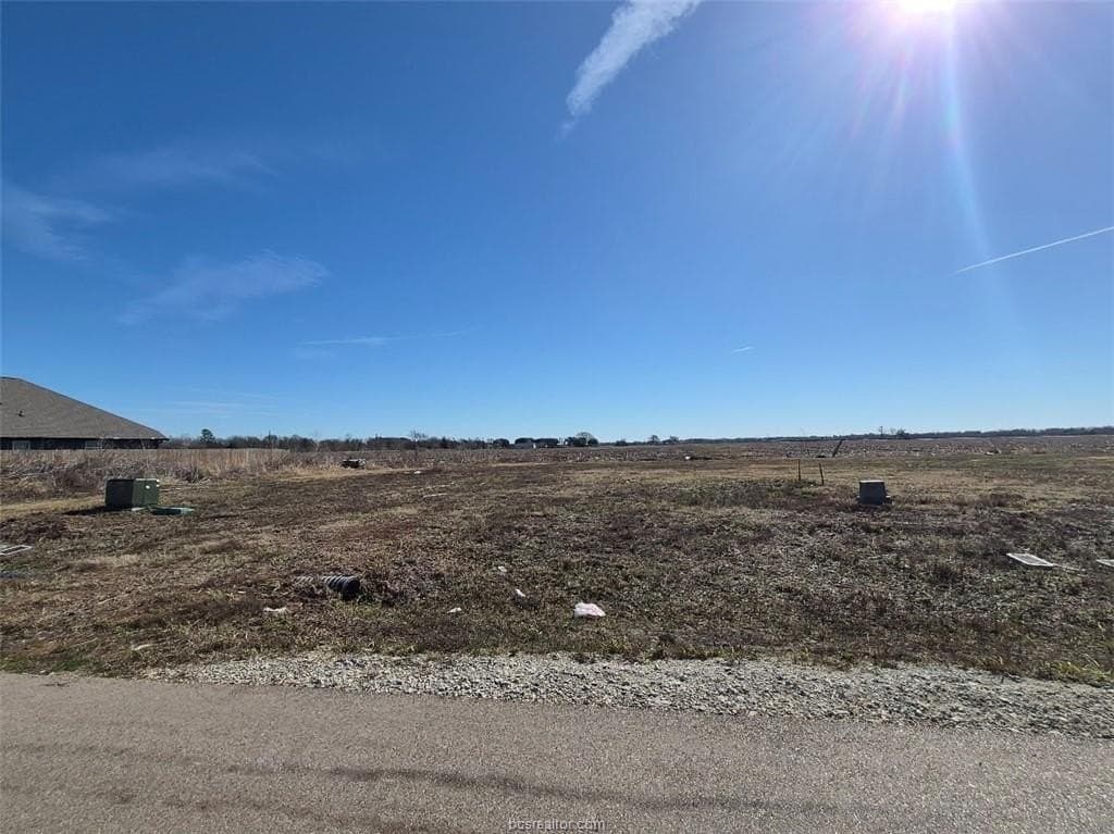 0.18 acres in Burleson County gallery image 2