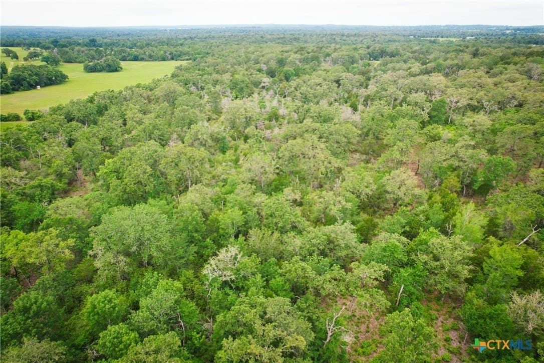 10.01 acres in Milam County - photo 6