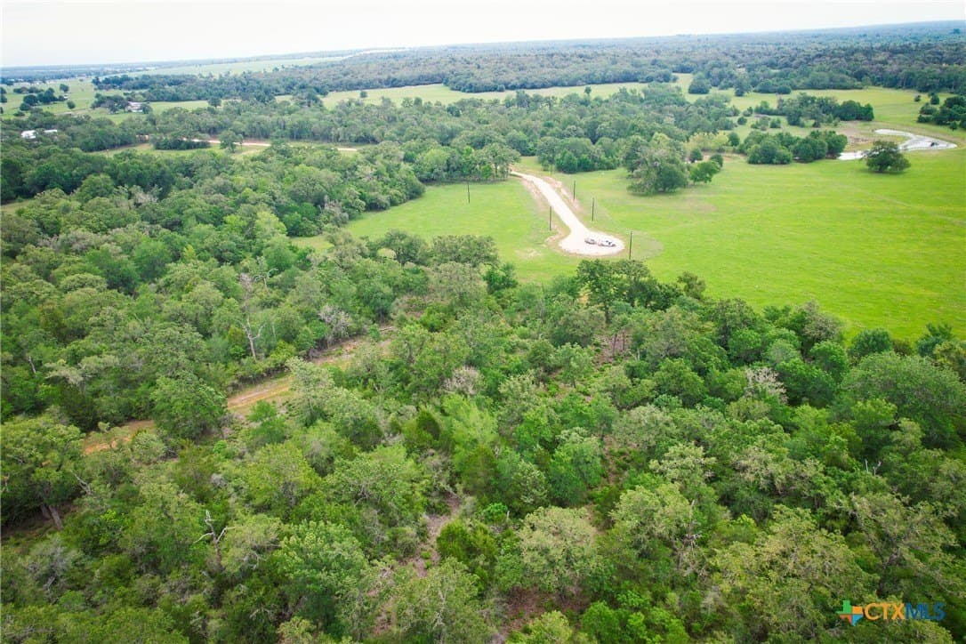 10.01 acres in Milam County gallery image 3