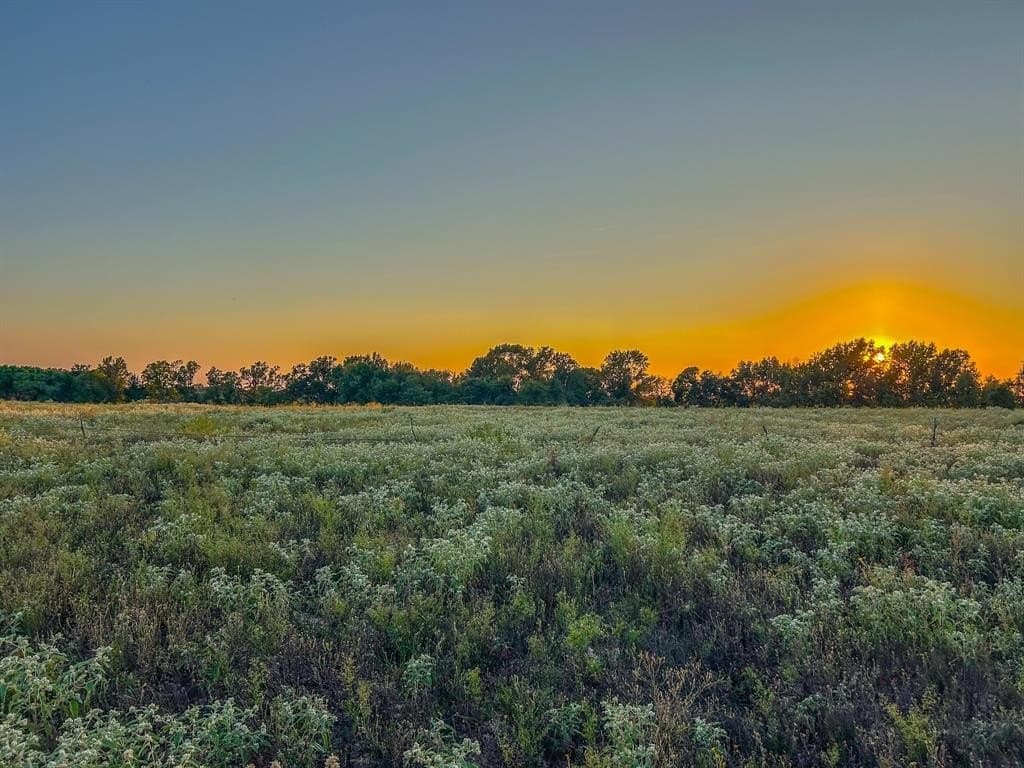 100 acres in Van Zandt County gallery image 4