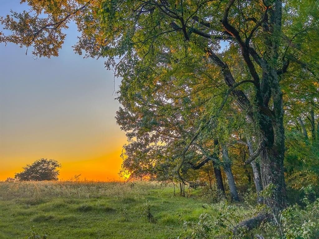 100 acres in Van Zandt County gallery image 2