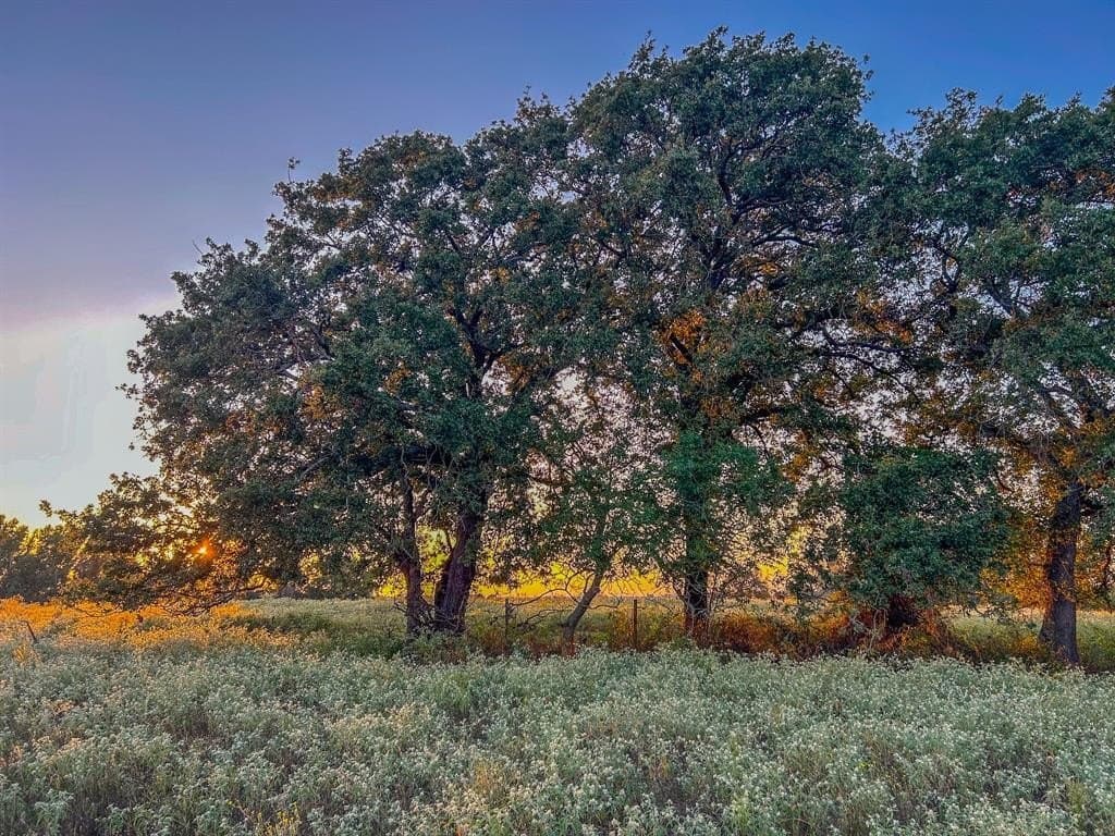 100 acres in Van Zandt County gallery image 3