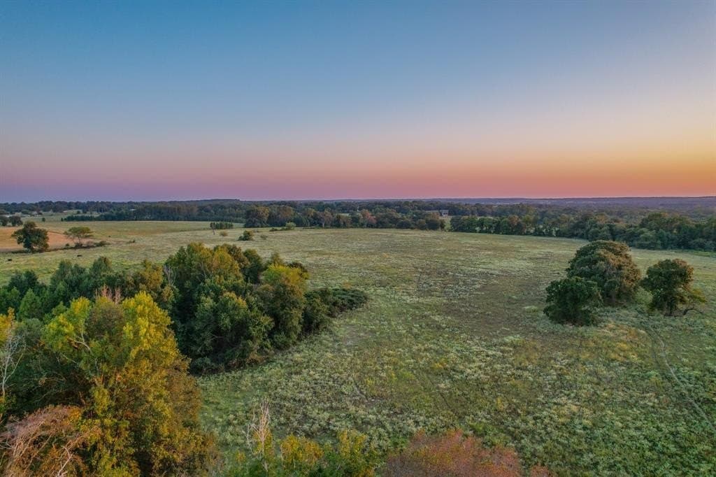 100 acres in Van Zandt County featured view