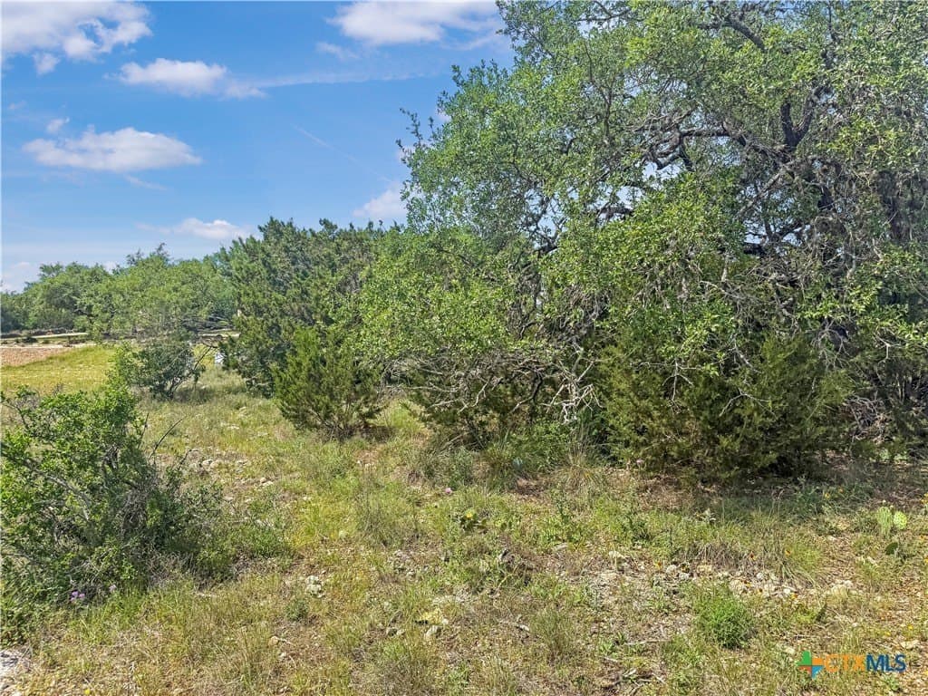 2.23 acres in Comal County gallery image 3