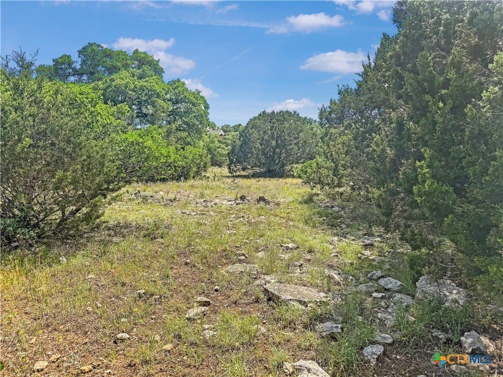 2.23 acres in Comal County gallery image 4