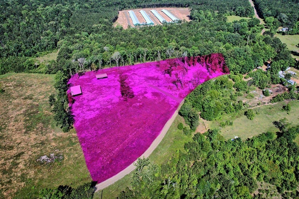 5.25 acres in Texas County - photo 8