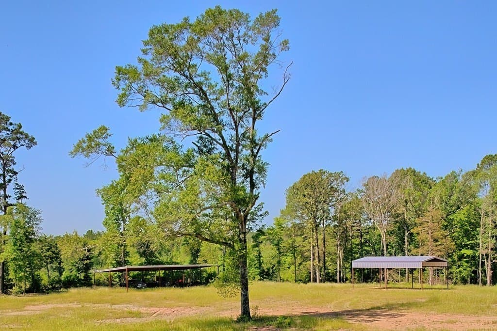 5.25 acres in Texas County - photo 7