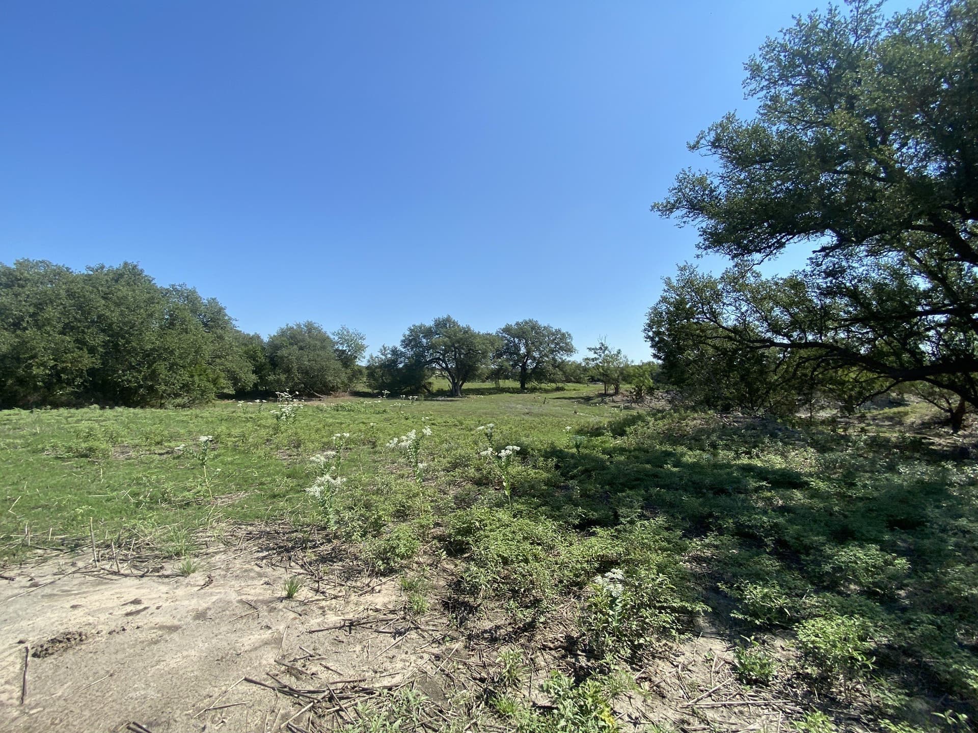 27 acres in Mills County - photo 7