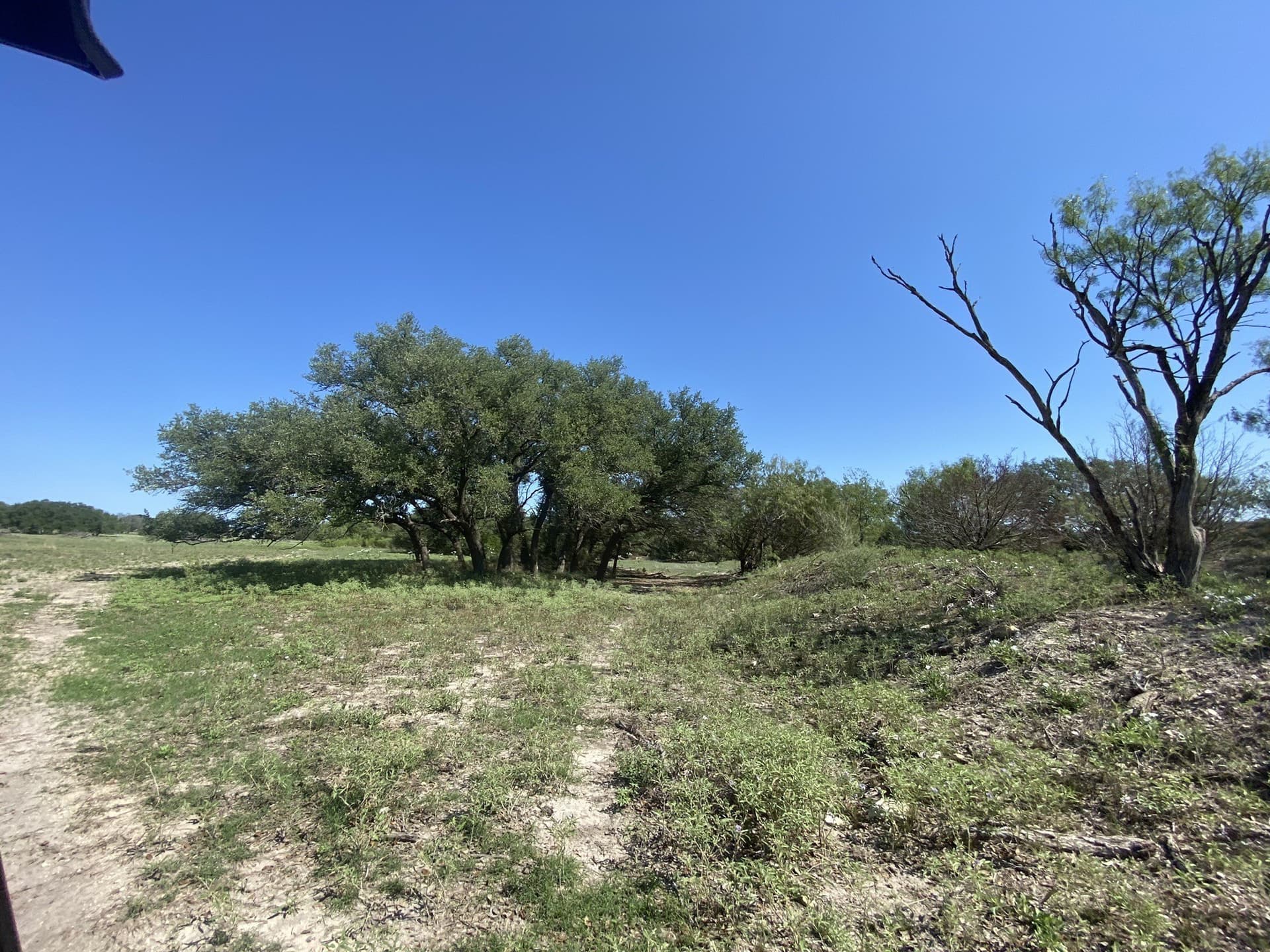27 acres in Mills County - photo 4