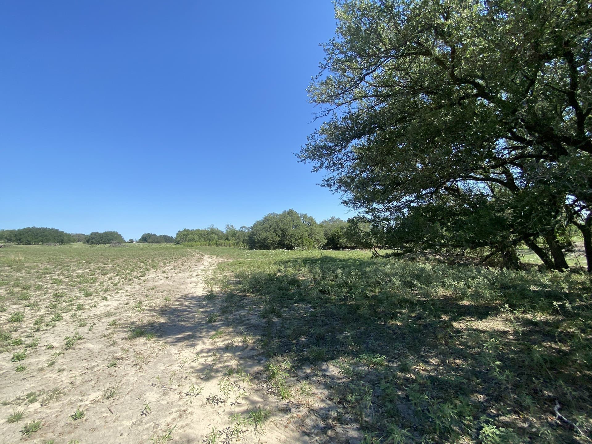 27 acres in Mills County - photo 6