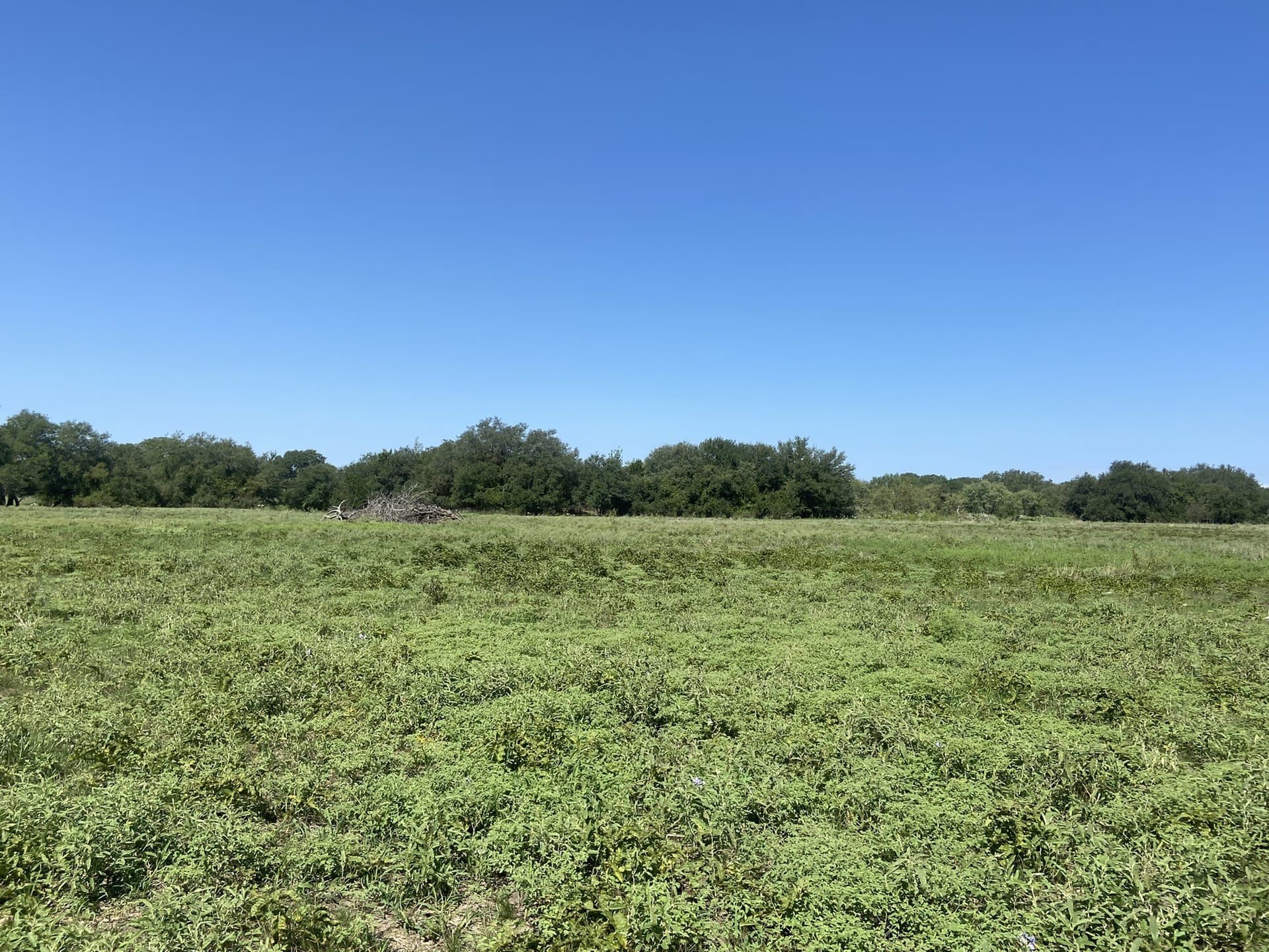 27 acres in Mills County - photo 10