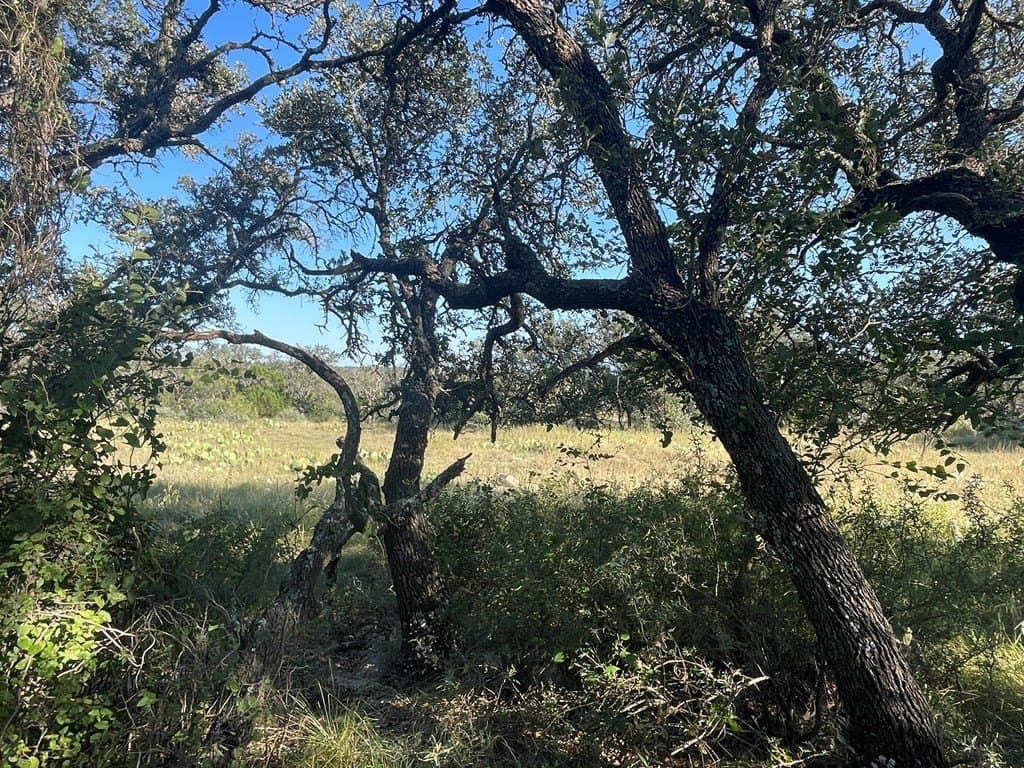 20.17 acres in Menard County gallery image 4