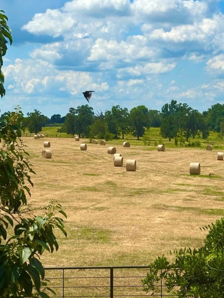 200.61 acres in Texas County - photo 54