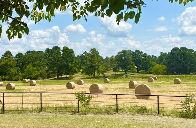200.61 acres in Texas County - photo 53
