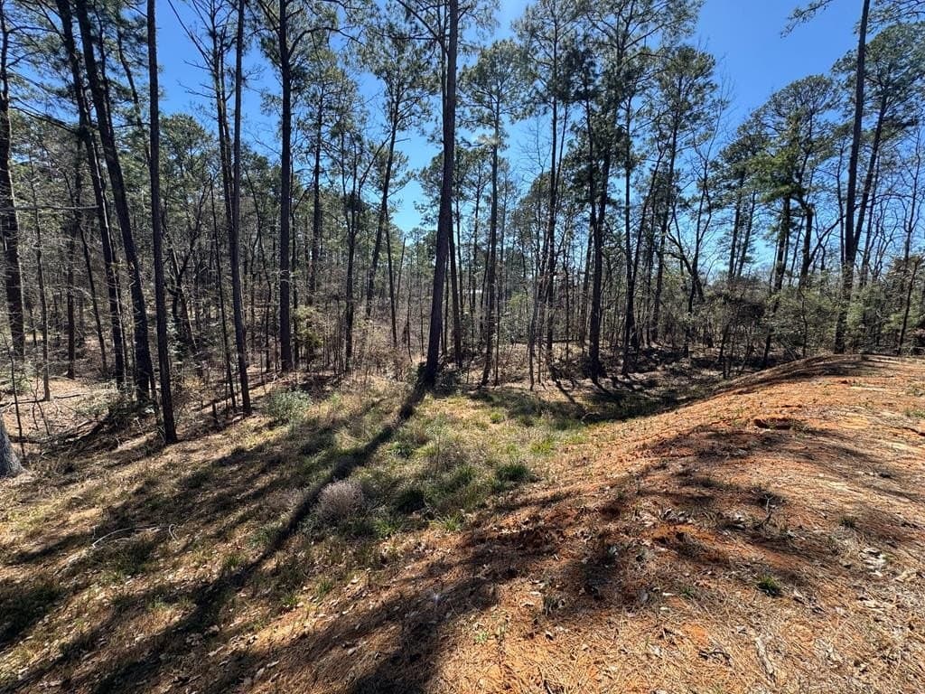 0.23 acres in Texas County gallery image 3