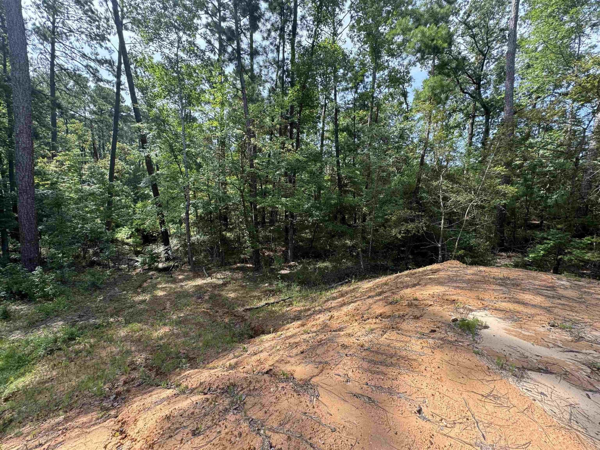 0.23 acres in Texas County - photo 10