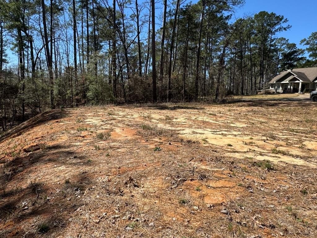 0.23 acres in Texas County - photo 14