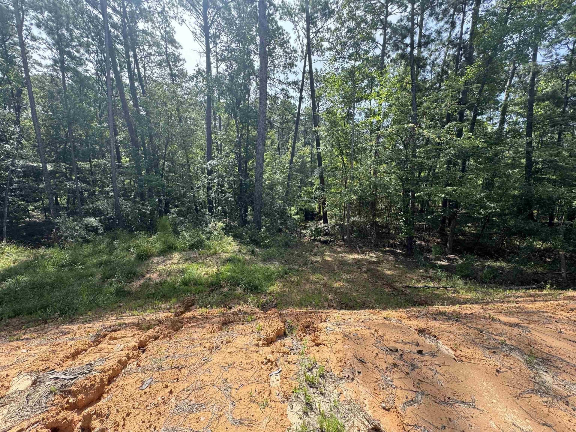 0.23 acres in Texas County - photo 9