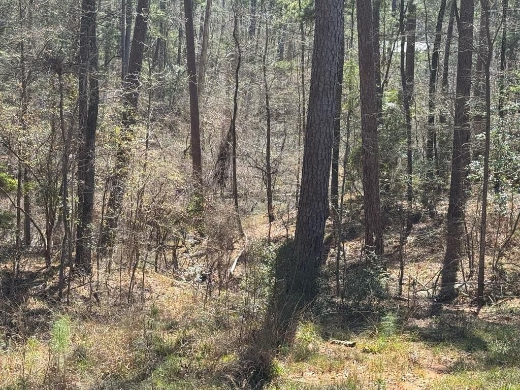 0.23 acres in Texas County gallery image 4