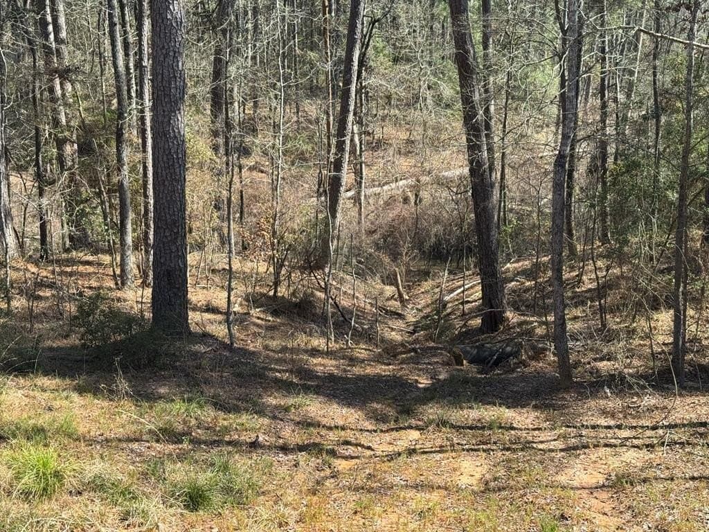 0.23 acres in Texas County featured view