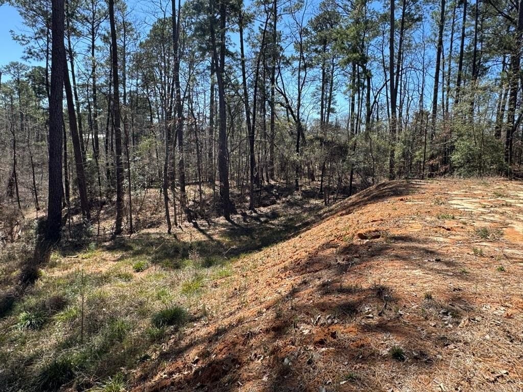 0.23 acres in Texas County - photo 6