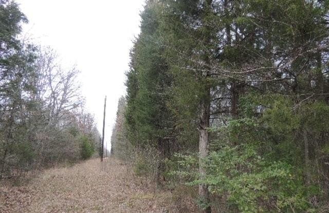25 acres in Rains County