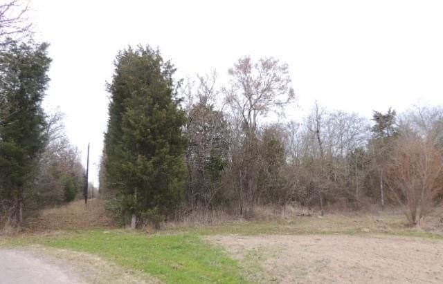 25 acres in Rains County gallery image 4