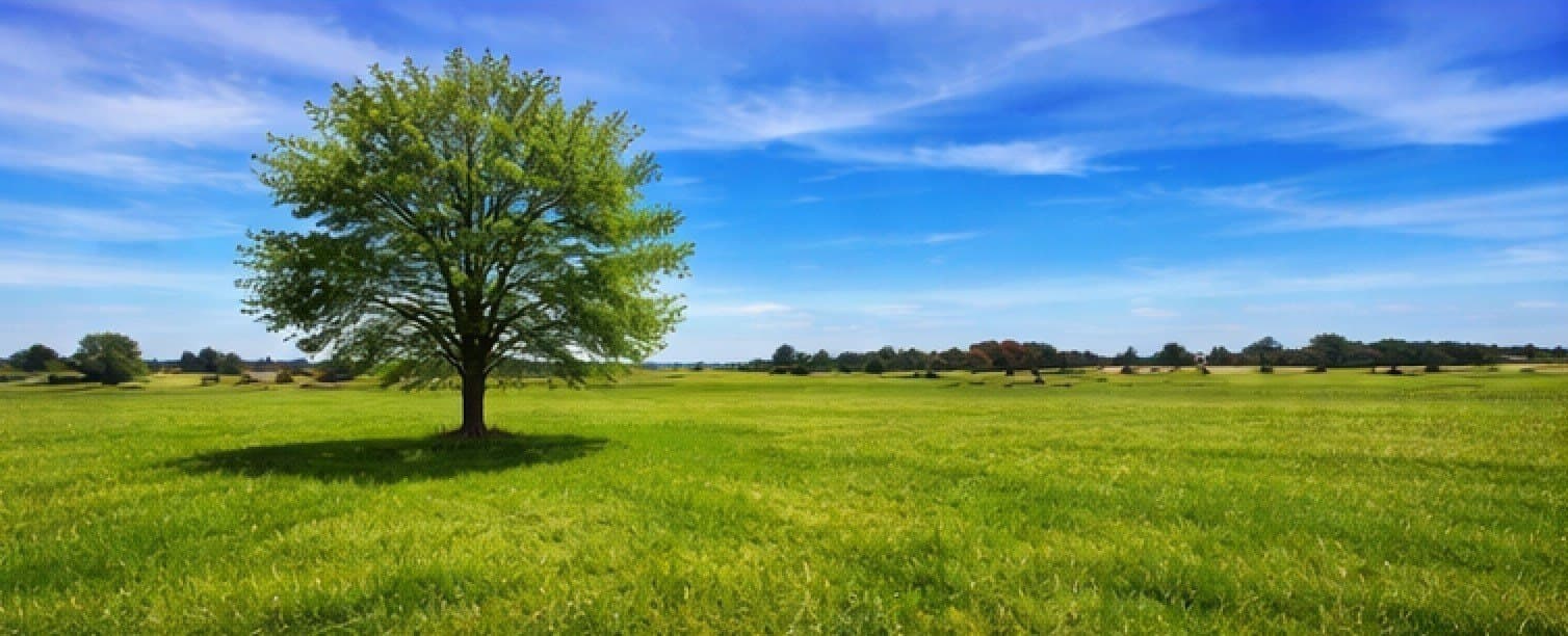 6.41 acres in Hood County gallery image 4