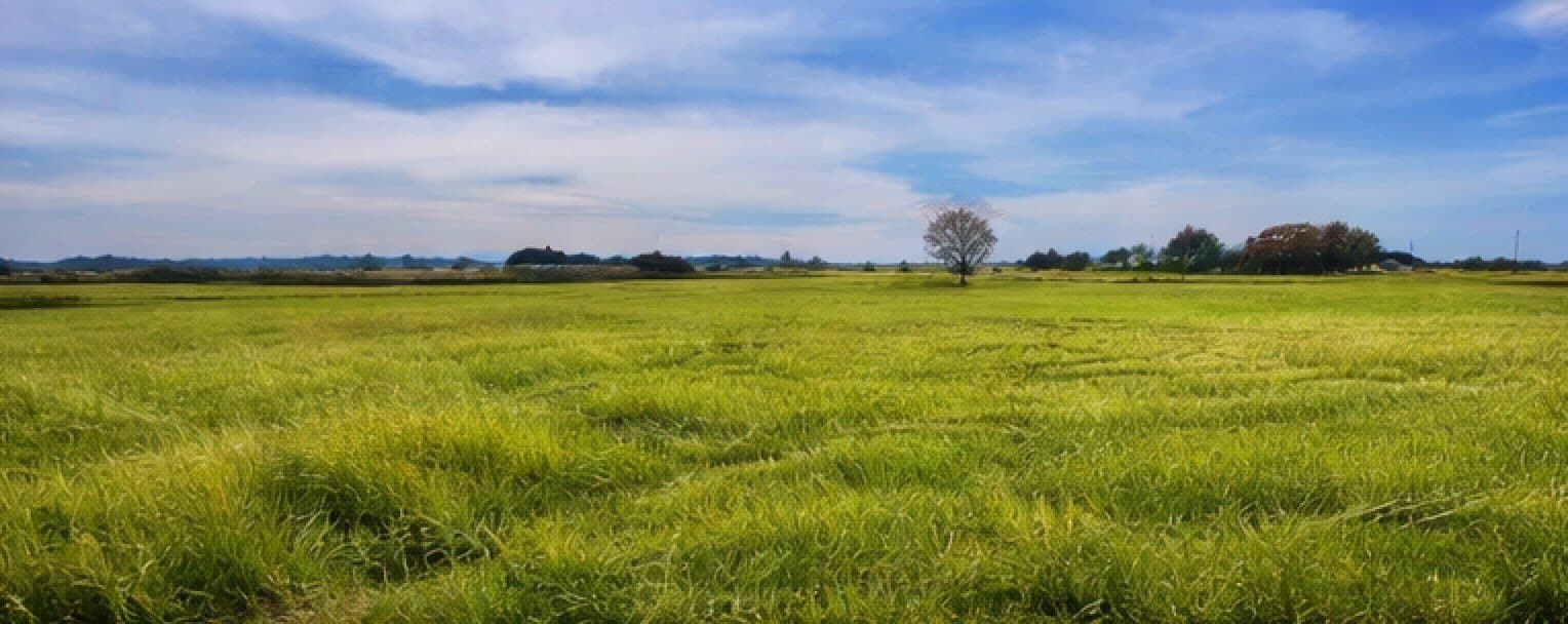 6.41 acres in Hood County featured view