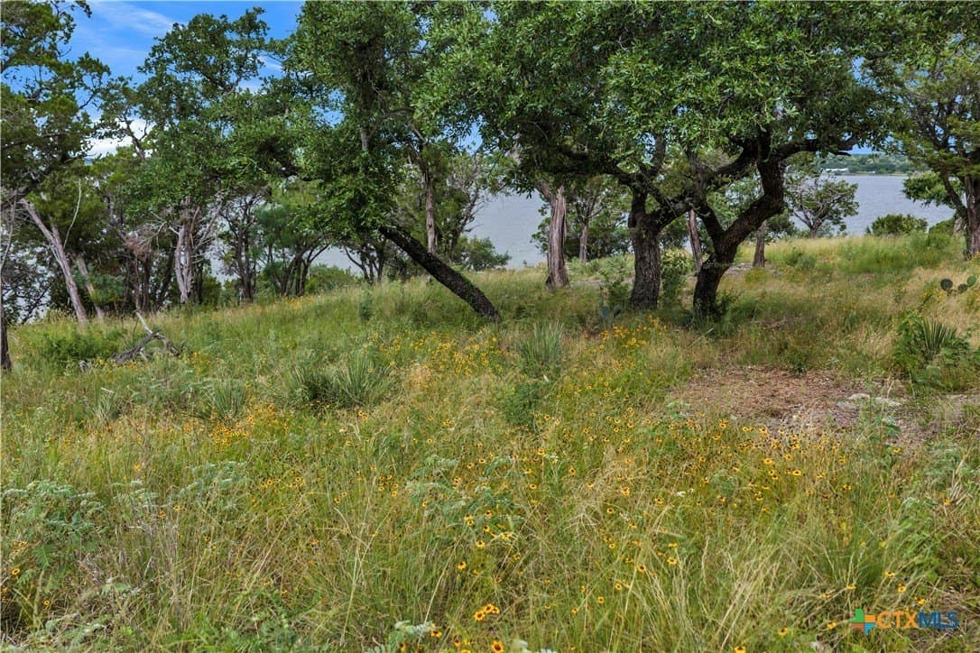 3.5 acres in Burnet County - photo 13