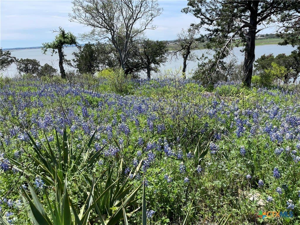 3.5 acres in Burnet County - photo 4
