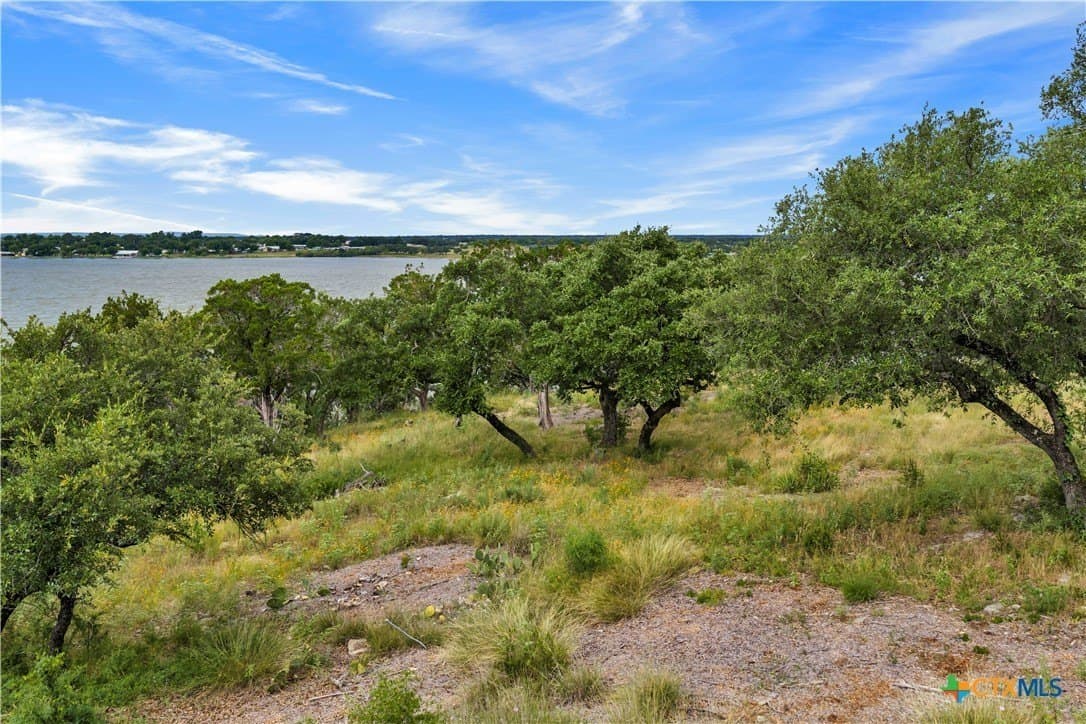 3.5 acres in Burnet County - photo 10