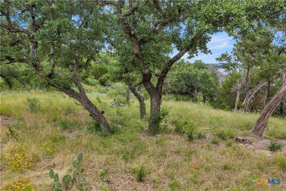 3.5 acres in Burnet County - photo 15