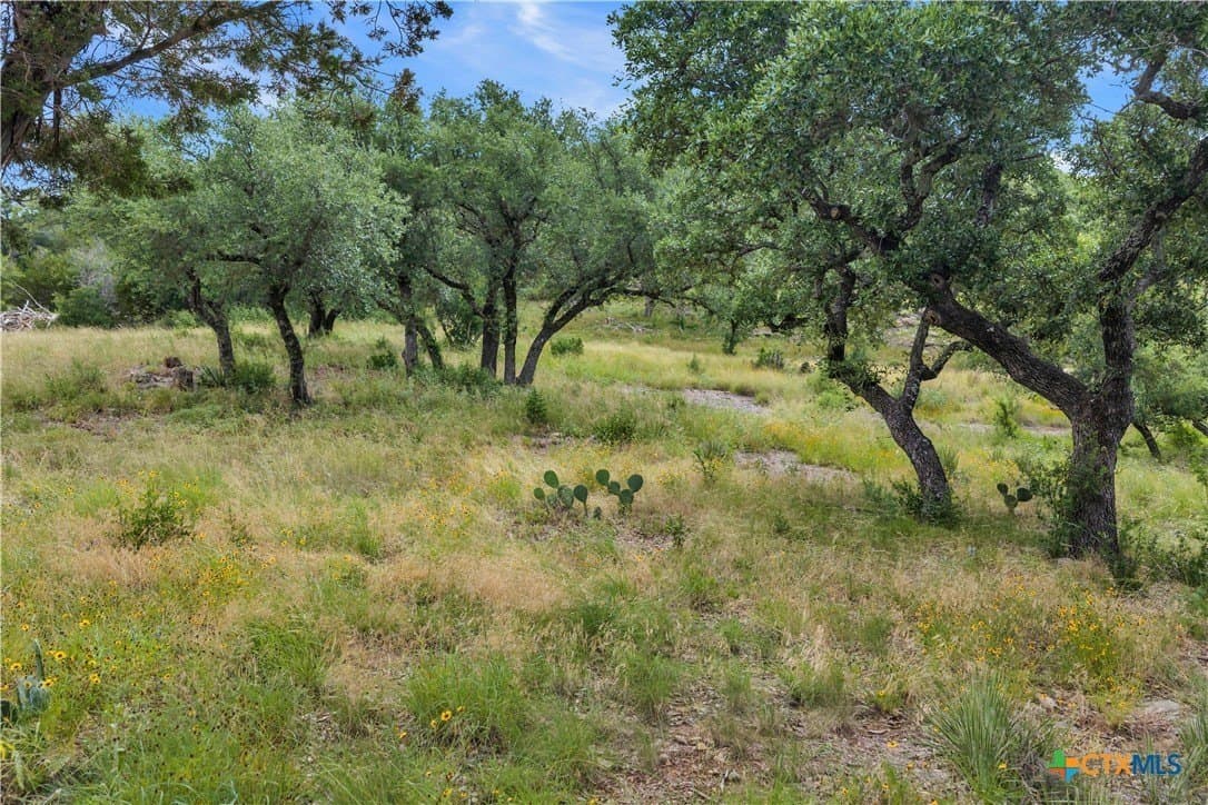 3.5 acres in Burnet County - photo 14