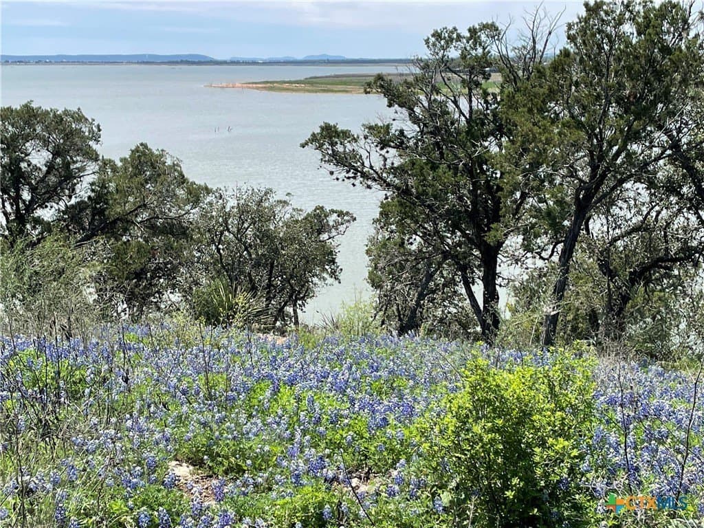 3.5 acres in Burnet County - photo 5