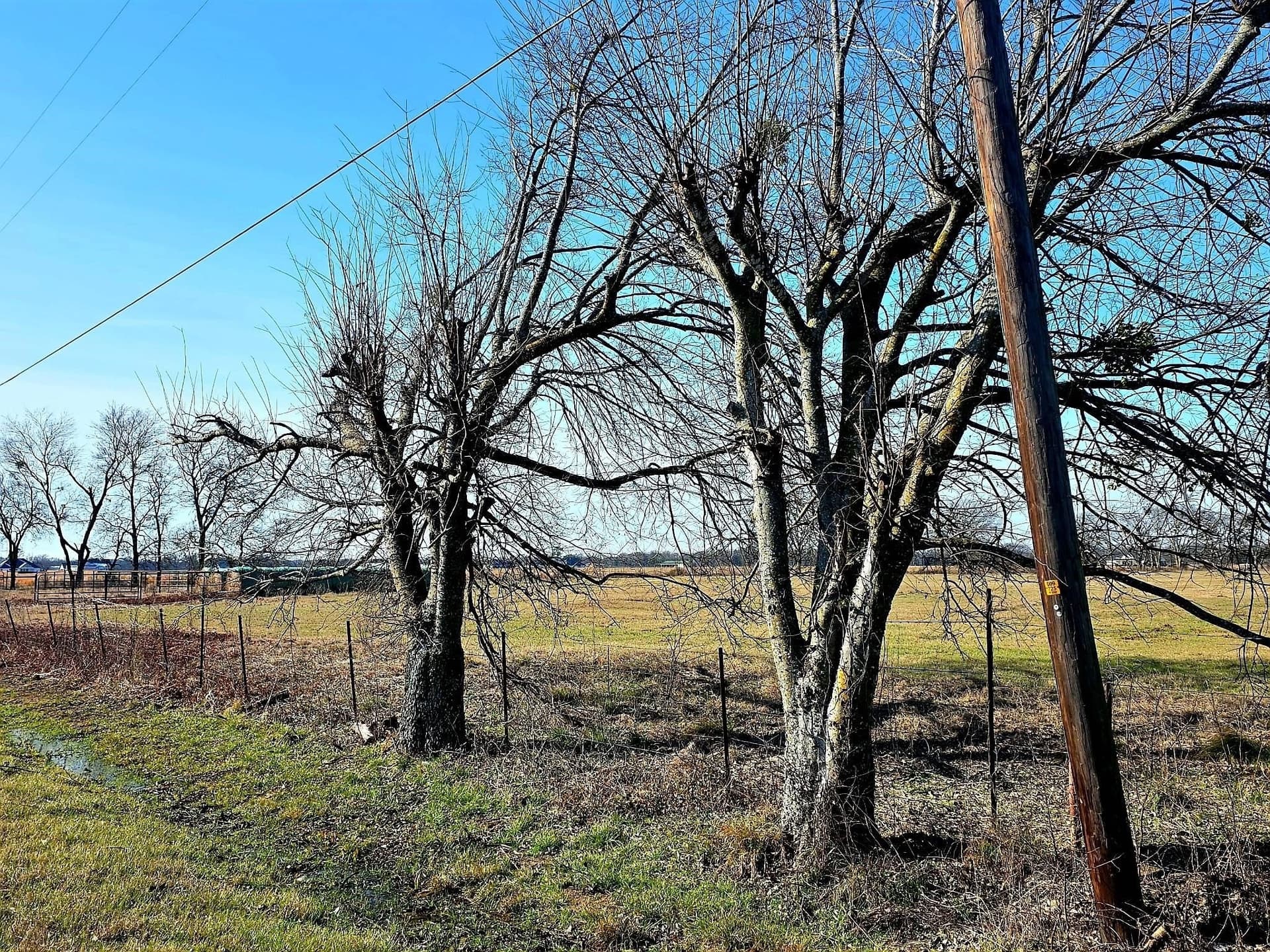 10.01 acres in Van Zandt County - photo 4