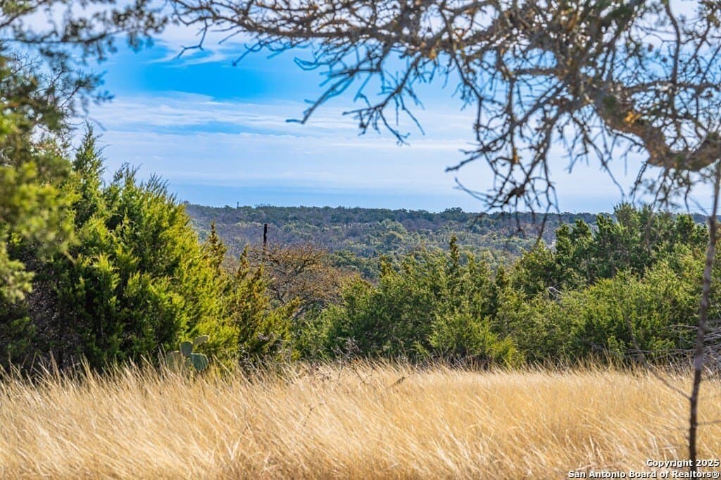 15.01 acres in Kerr County gallery image 4