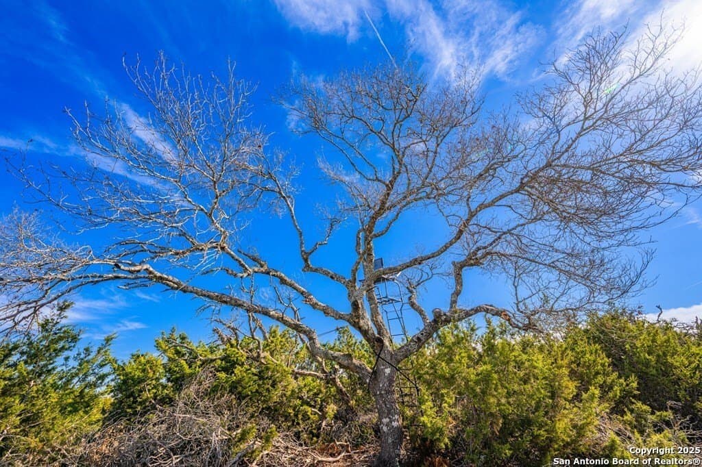 15.01 acres in Kerr County gallery image 3