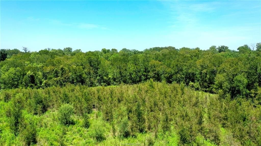 7.12 acres in Washington County - photo 17