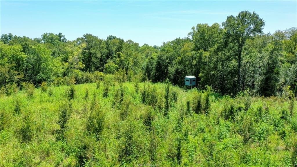 7.12 acres in Washington County - photo 15