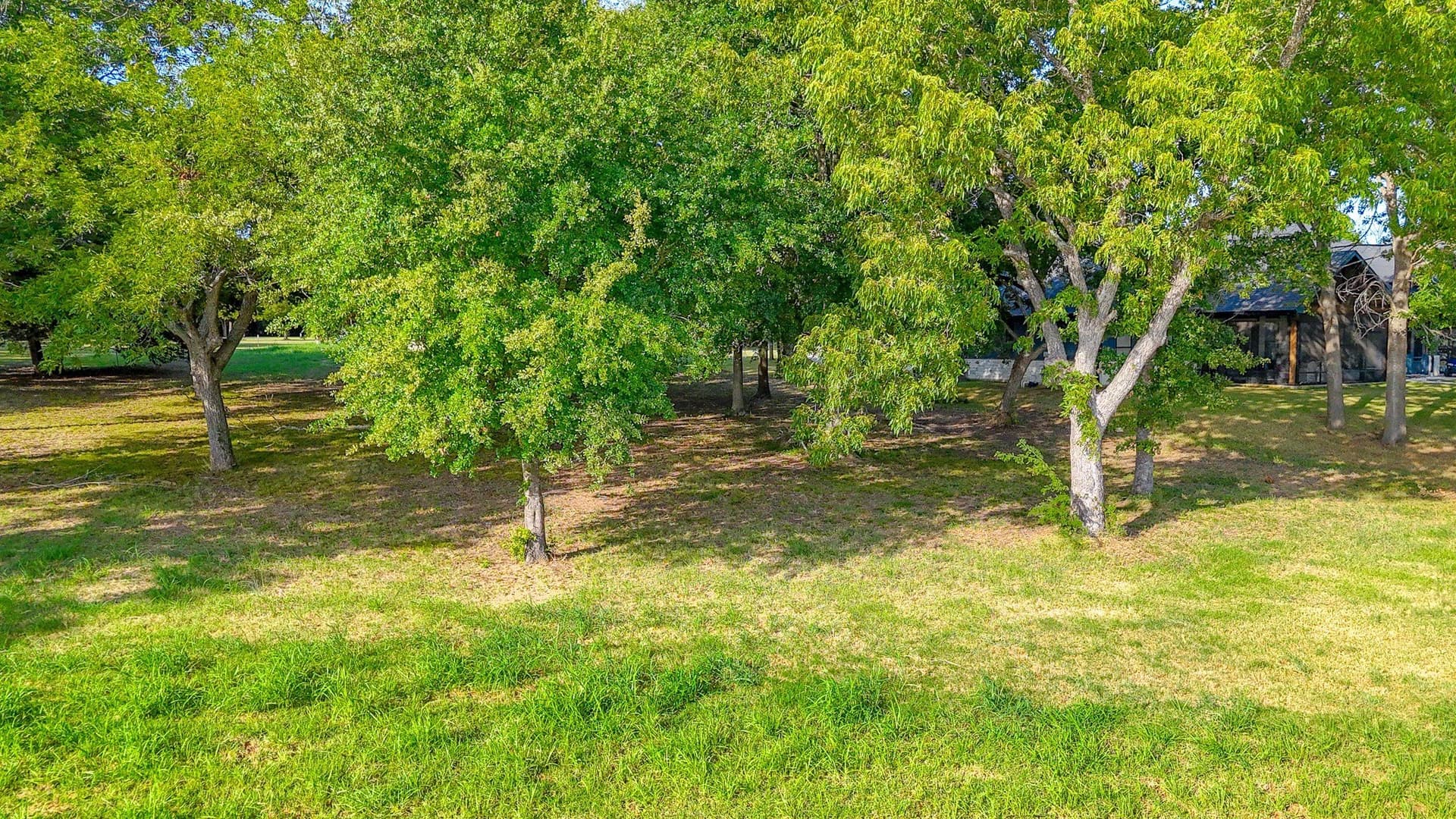 0.94 acres in Navarro County - photo 6