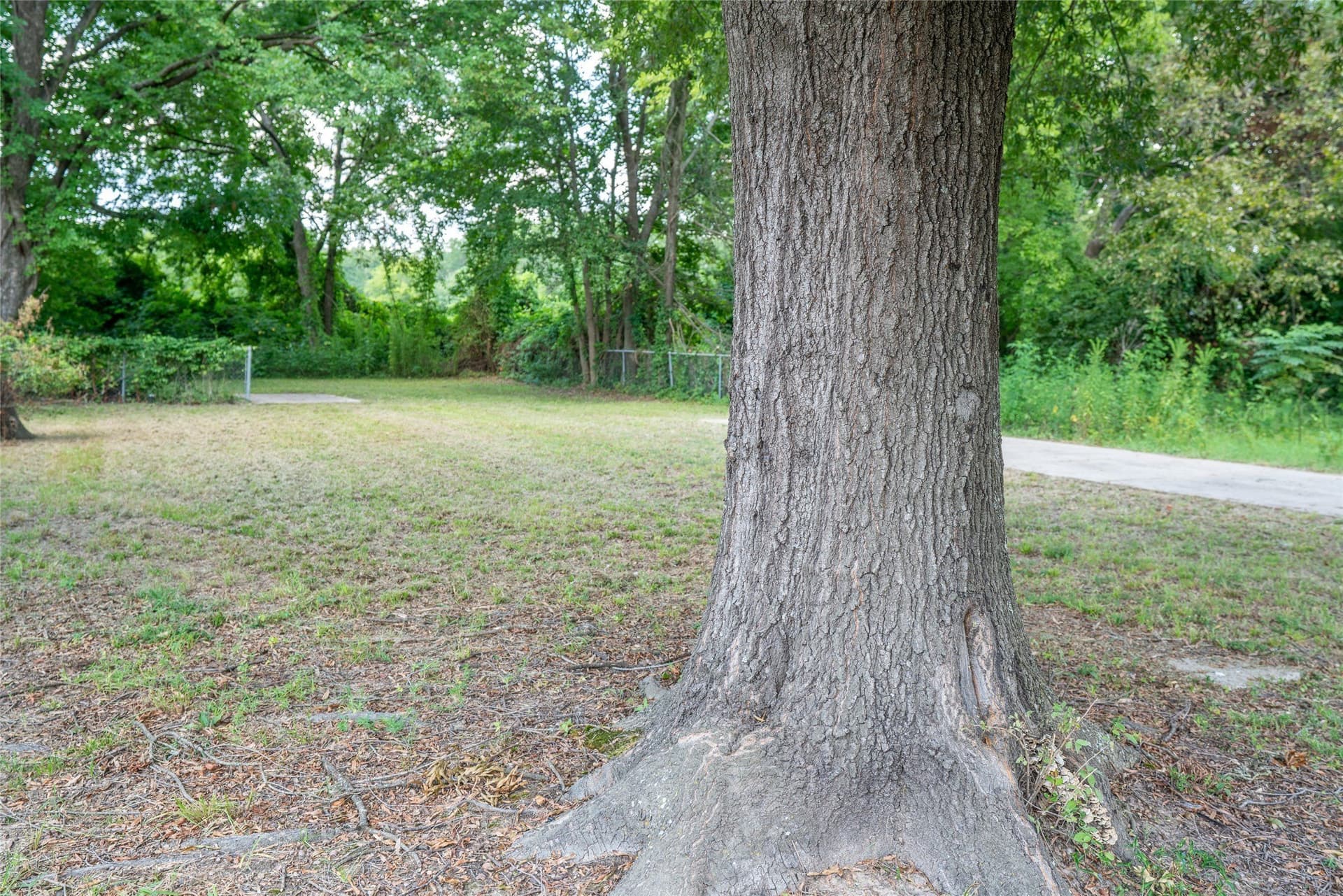 0.13 acres in Bowie County - photo 4