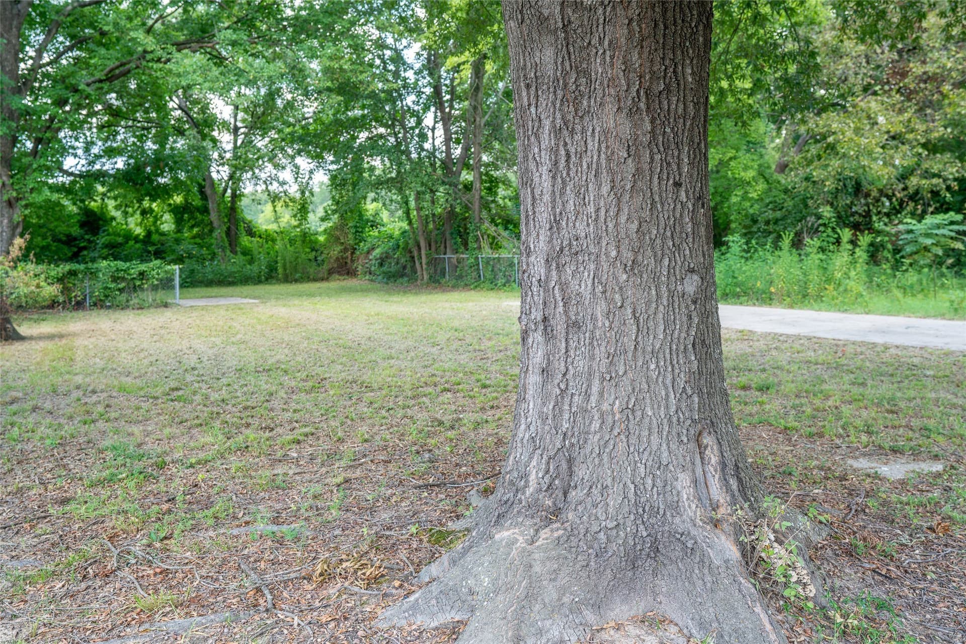 0.13 acres in Bowie County - photo 5