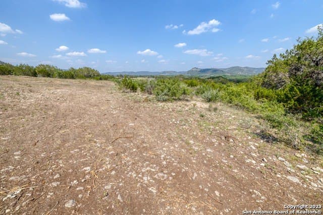 60.03 acres in Real County gallery image 4