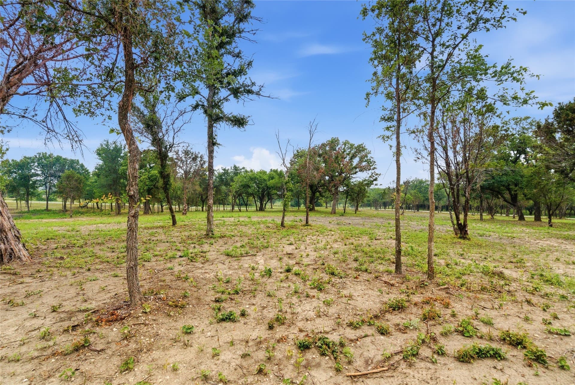 15 acres in Erath County - photo 38