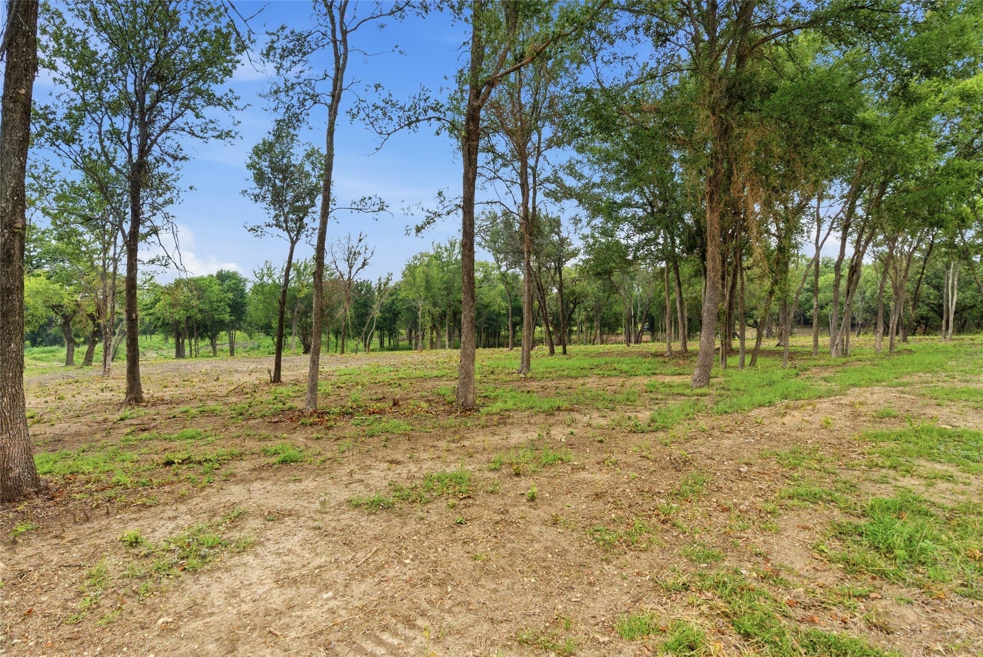 15 acres in Erath County - photo 37