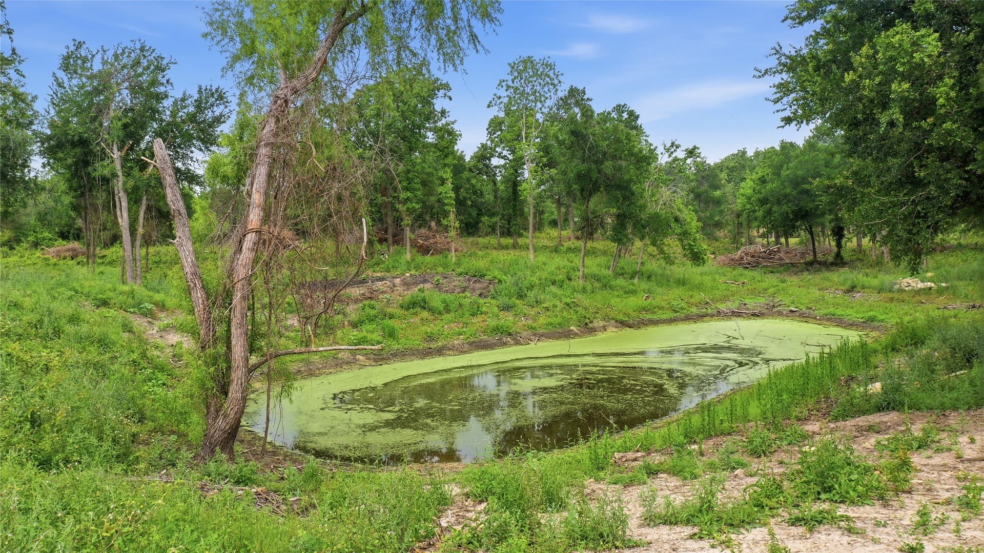 15 acres in Erath County - photo 36