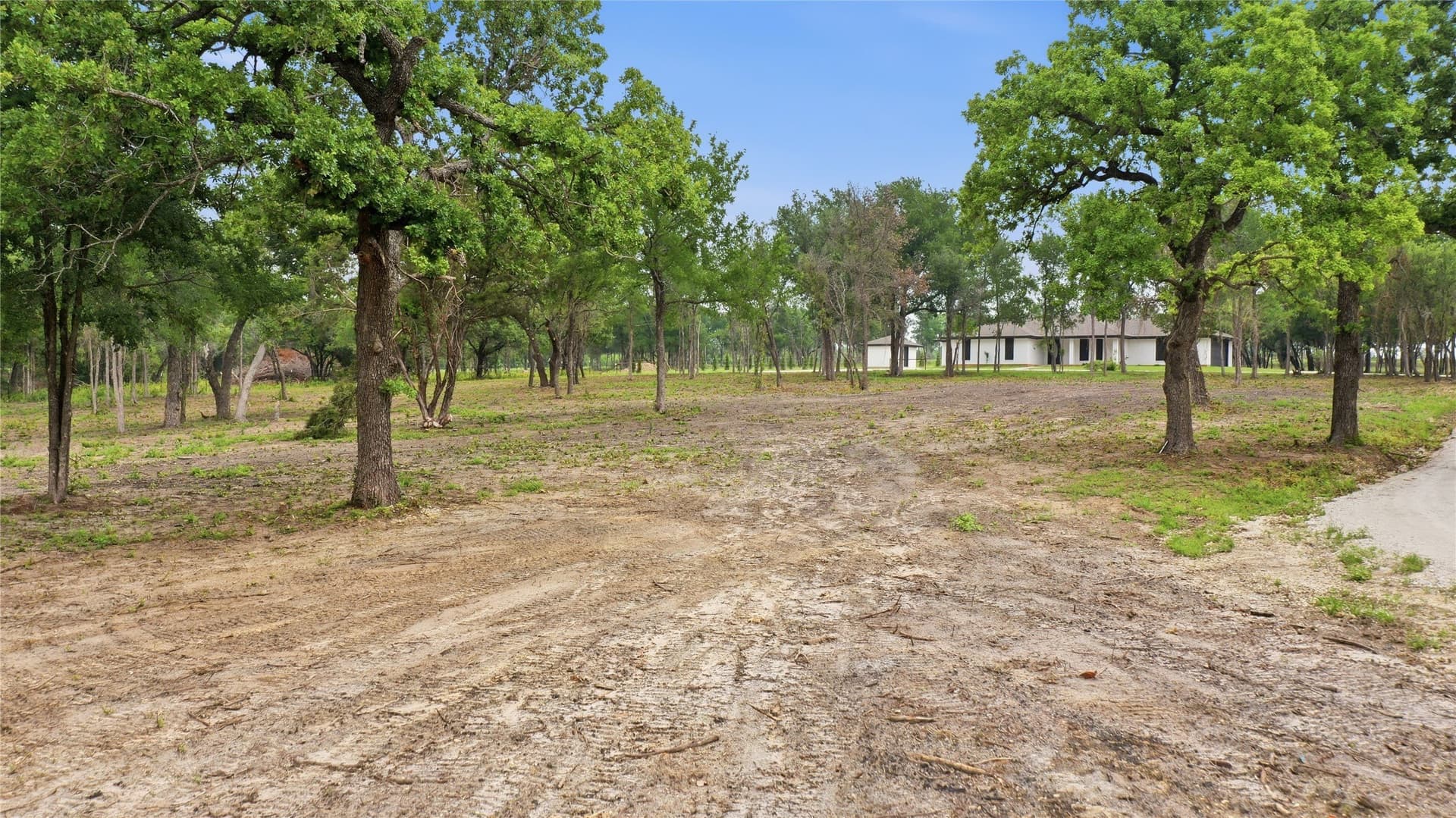 15 acres in Erath County - photo 39