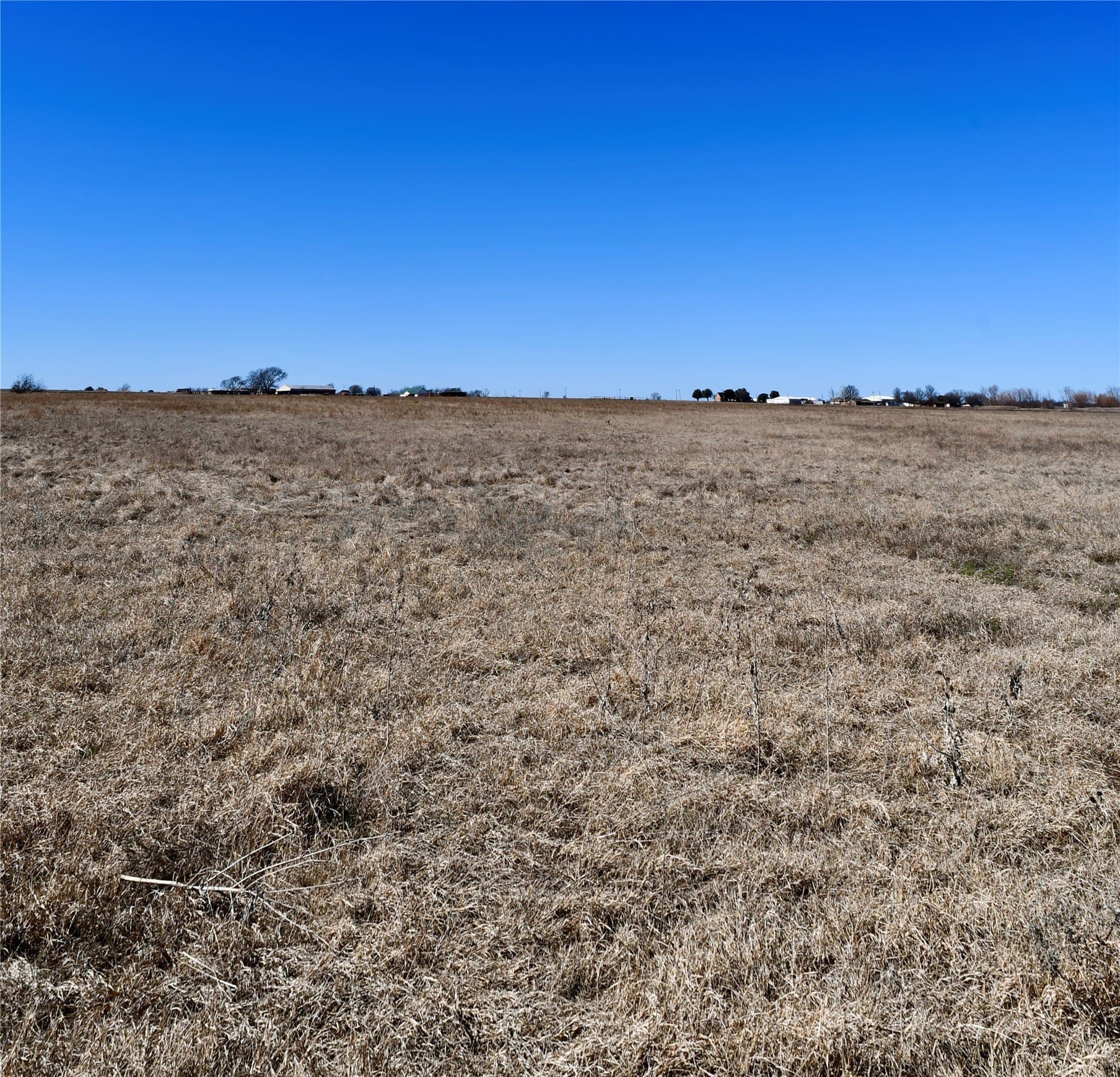 5 acres in Cooke County gallery image 2